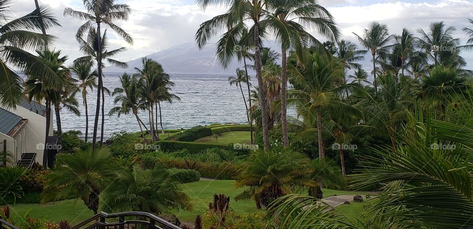 Maui