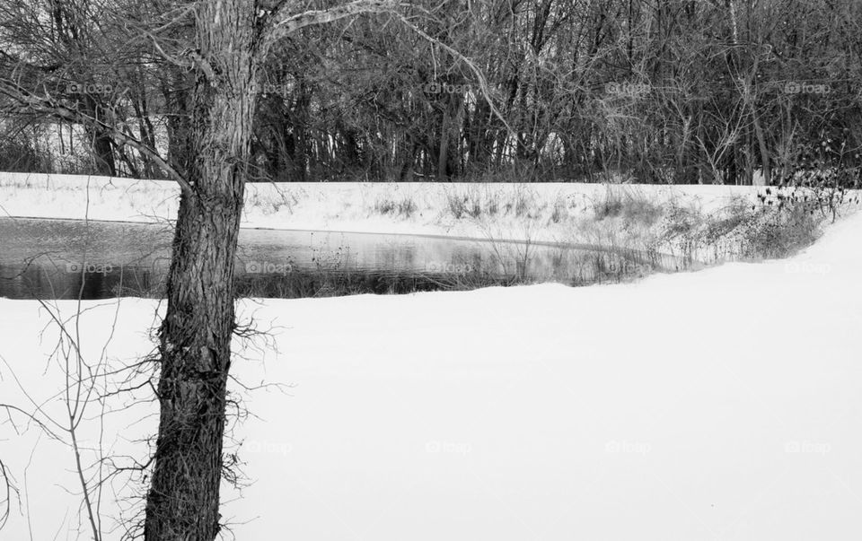Winter pond