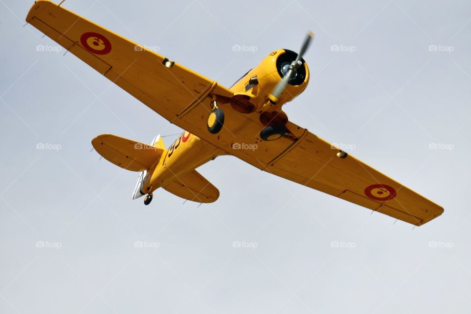 Nort American T-6 Texas DUM 1938