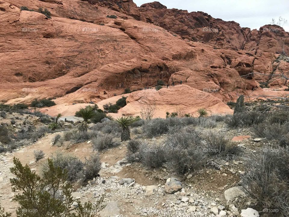 Red Rock