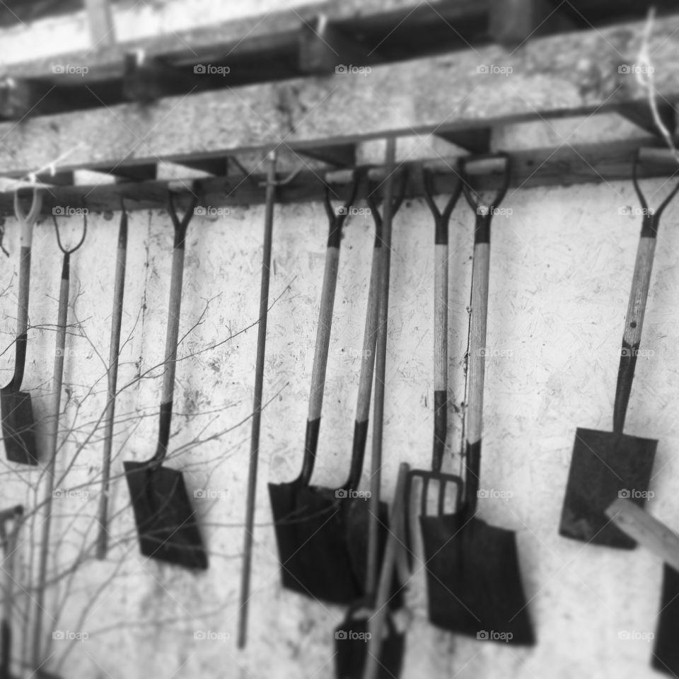 Farm tools. On my brothers' property, there is a shed with these shovels displayed in a row along the outside back wall. 