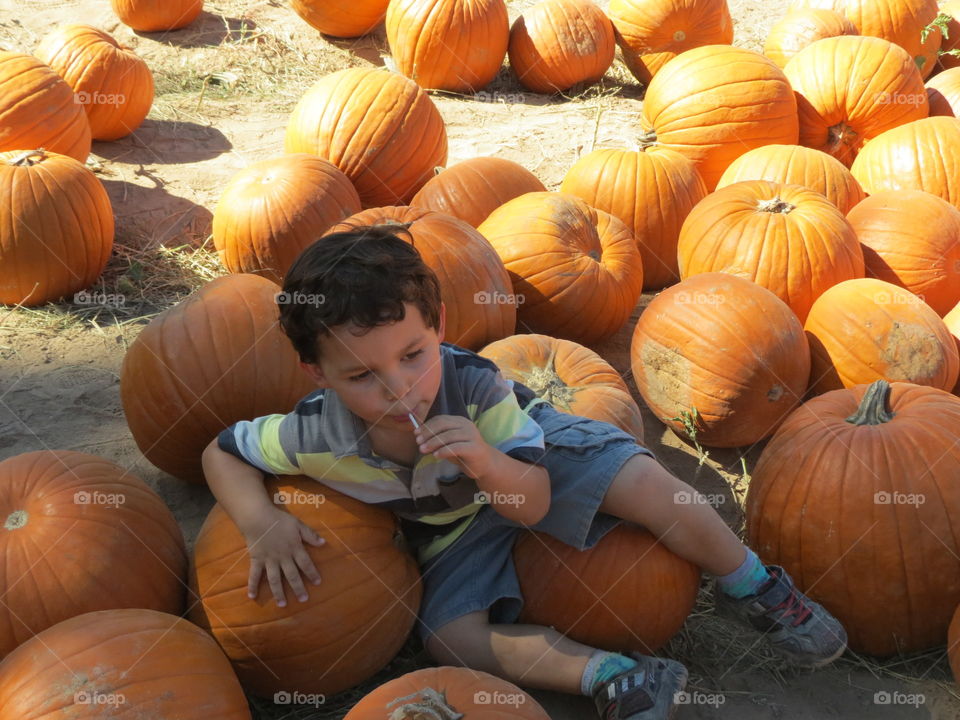 Boy lounging in a pumpkin patch with a lollipop.