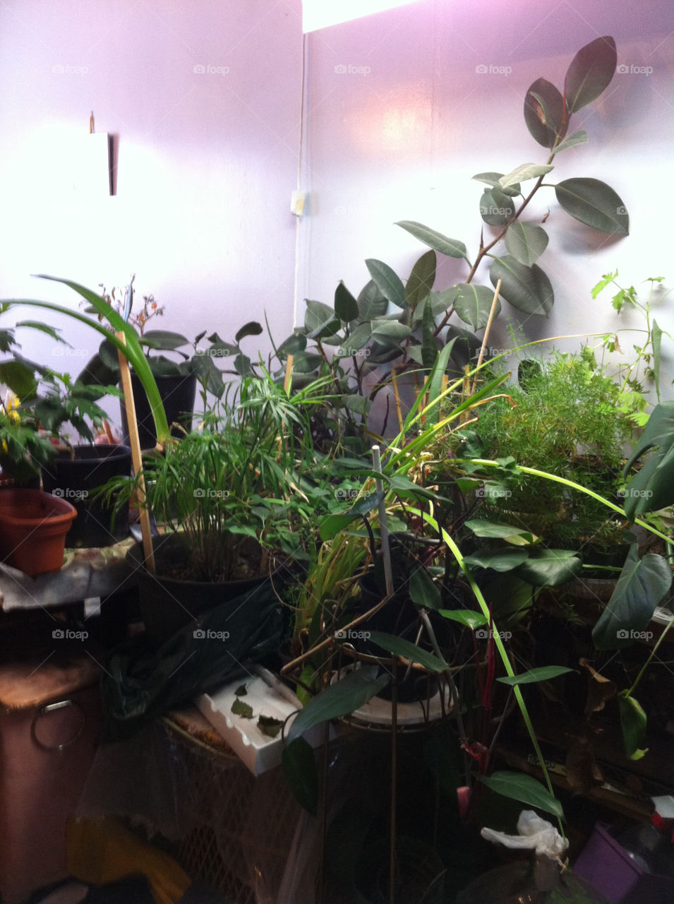 My favourite space in my house.