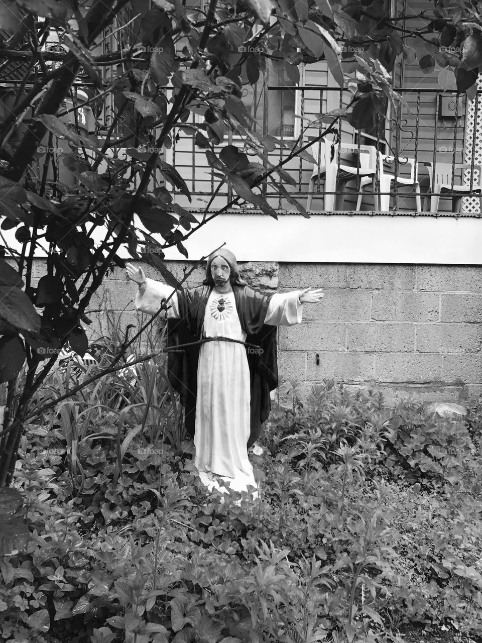 Jesus Blesses The Garden