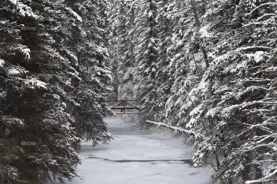 Snowy Day