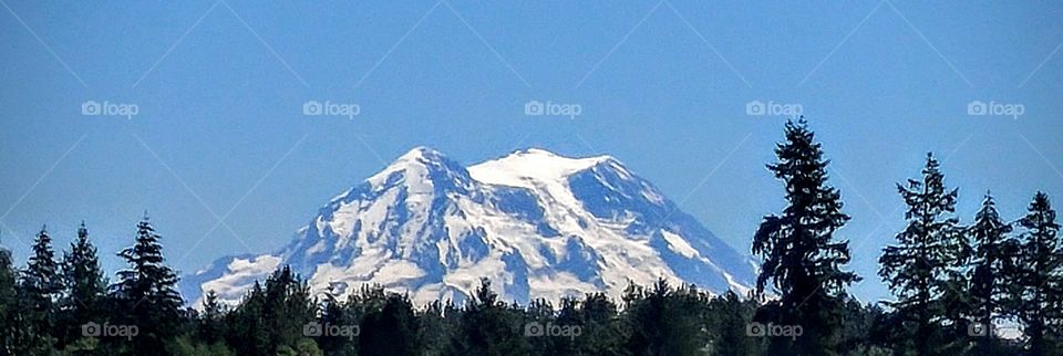 Mt.Rainier WA