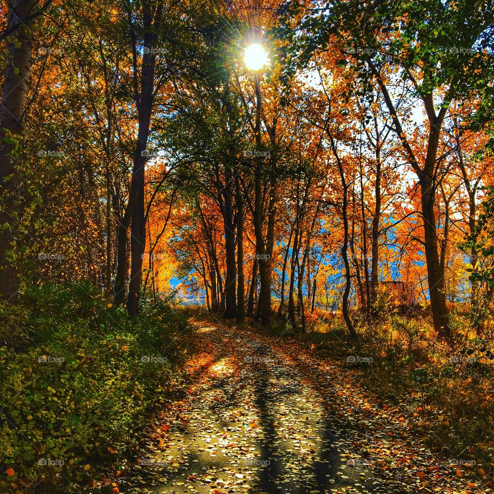 Beautiful autumn walk! 