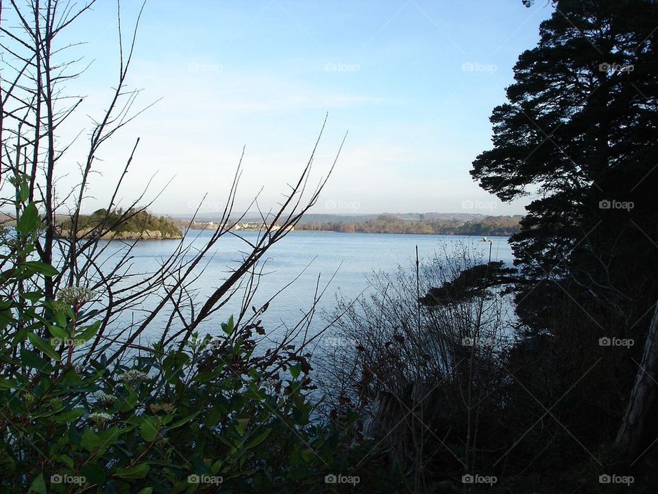 Killarney national park in winter