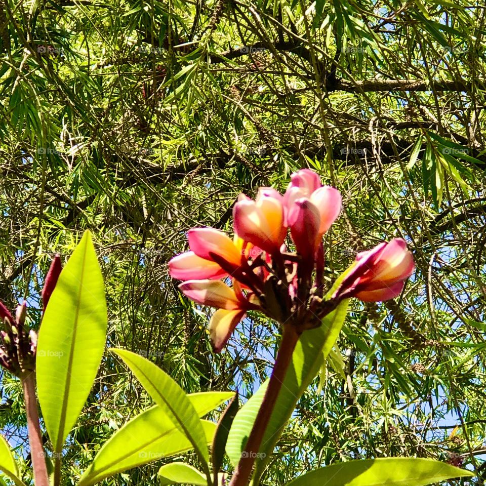 Upload the photo of the month April