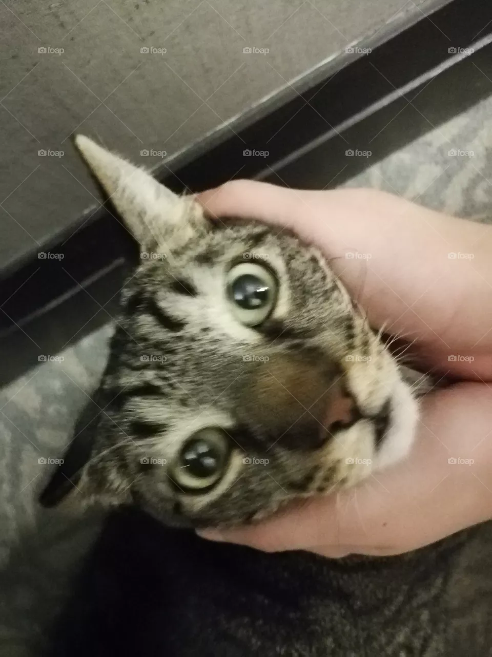 What?