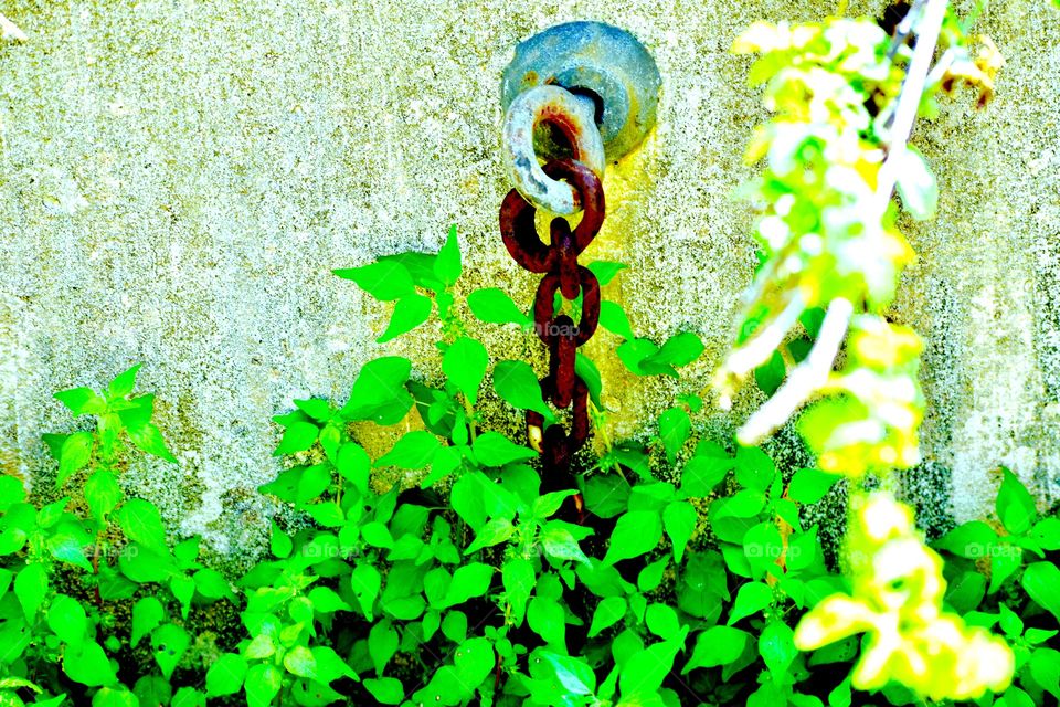 Chain and concrete and leaves. Hard soft