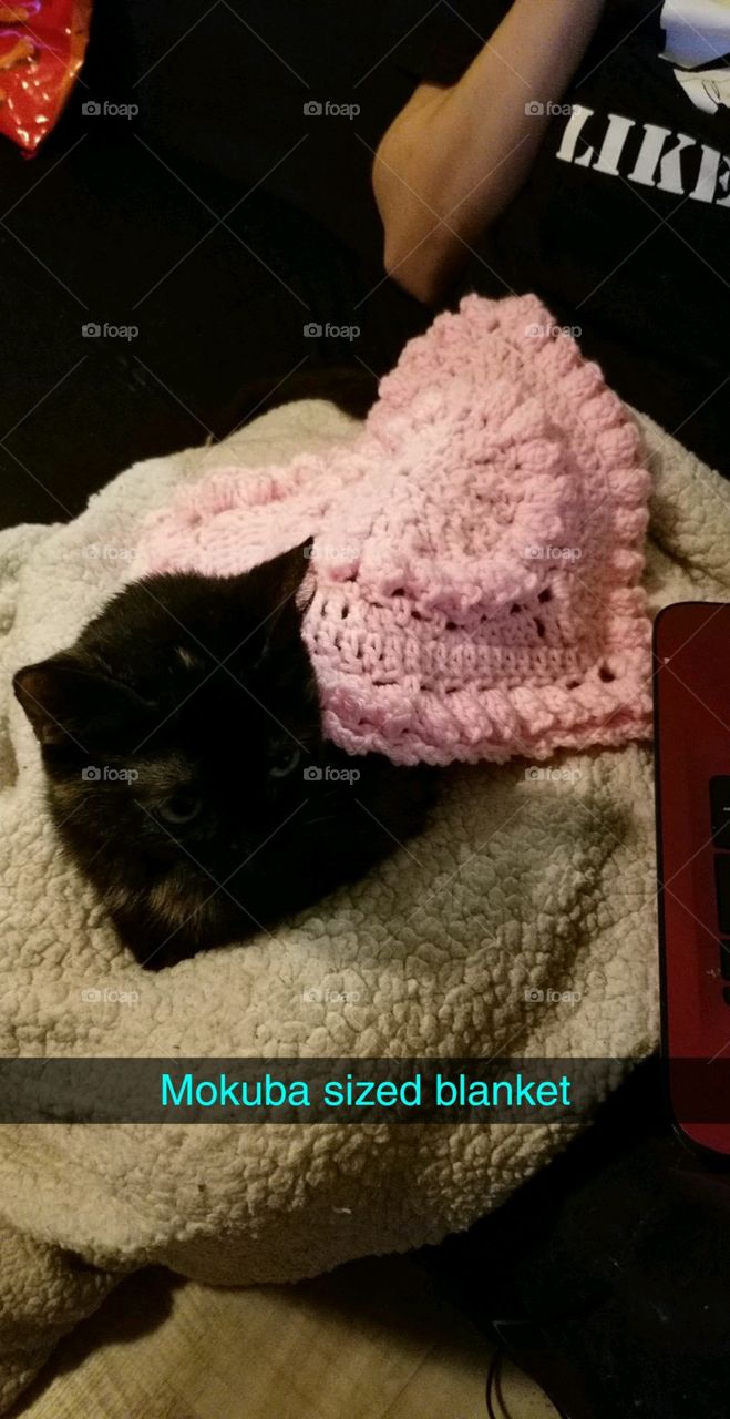 crocheted Kitty blanket