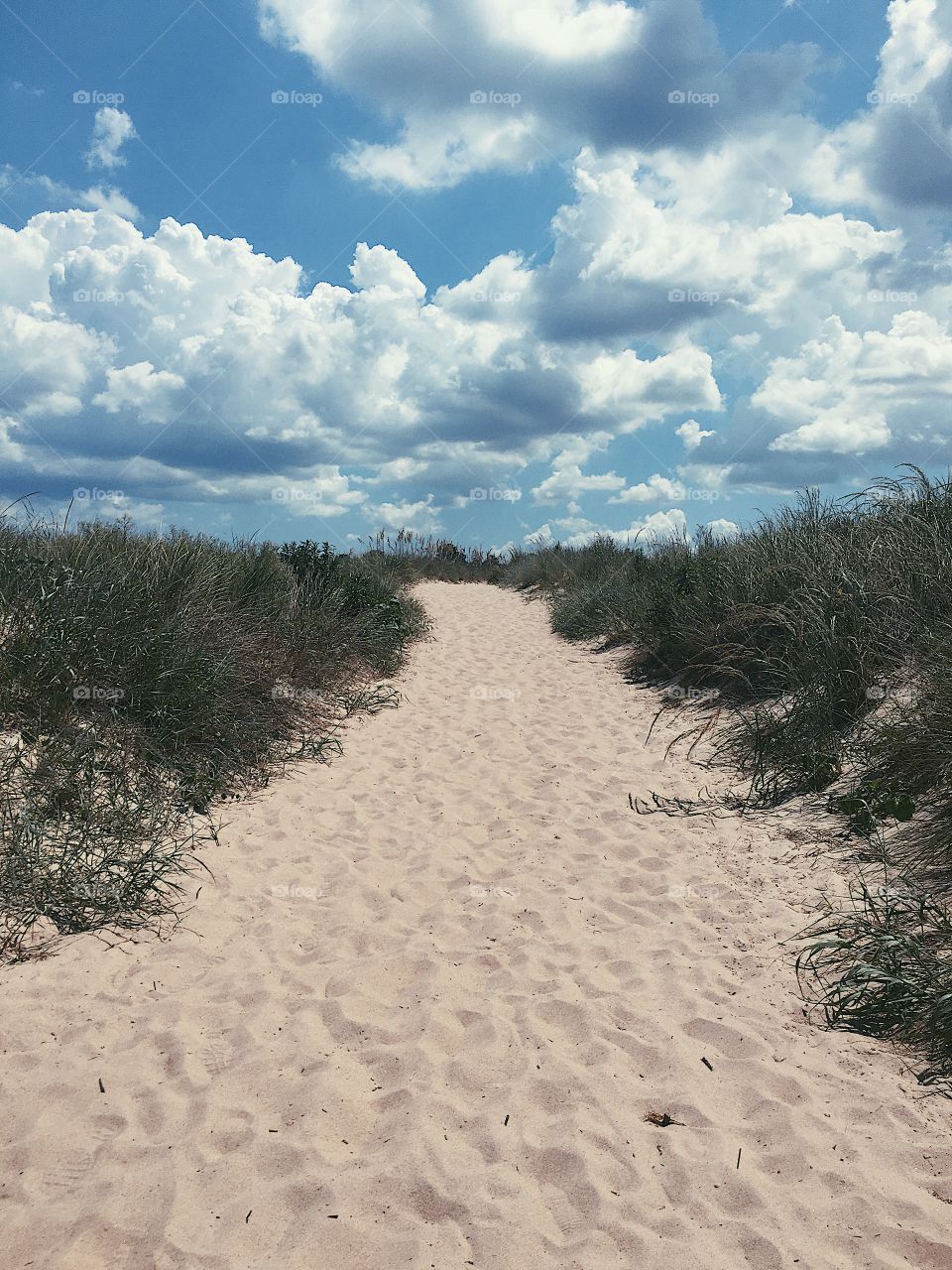 Sandy Pathway on the beach. 