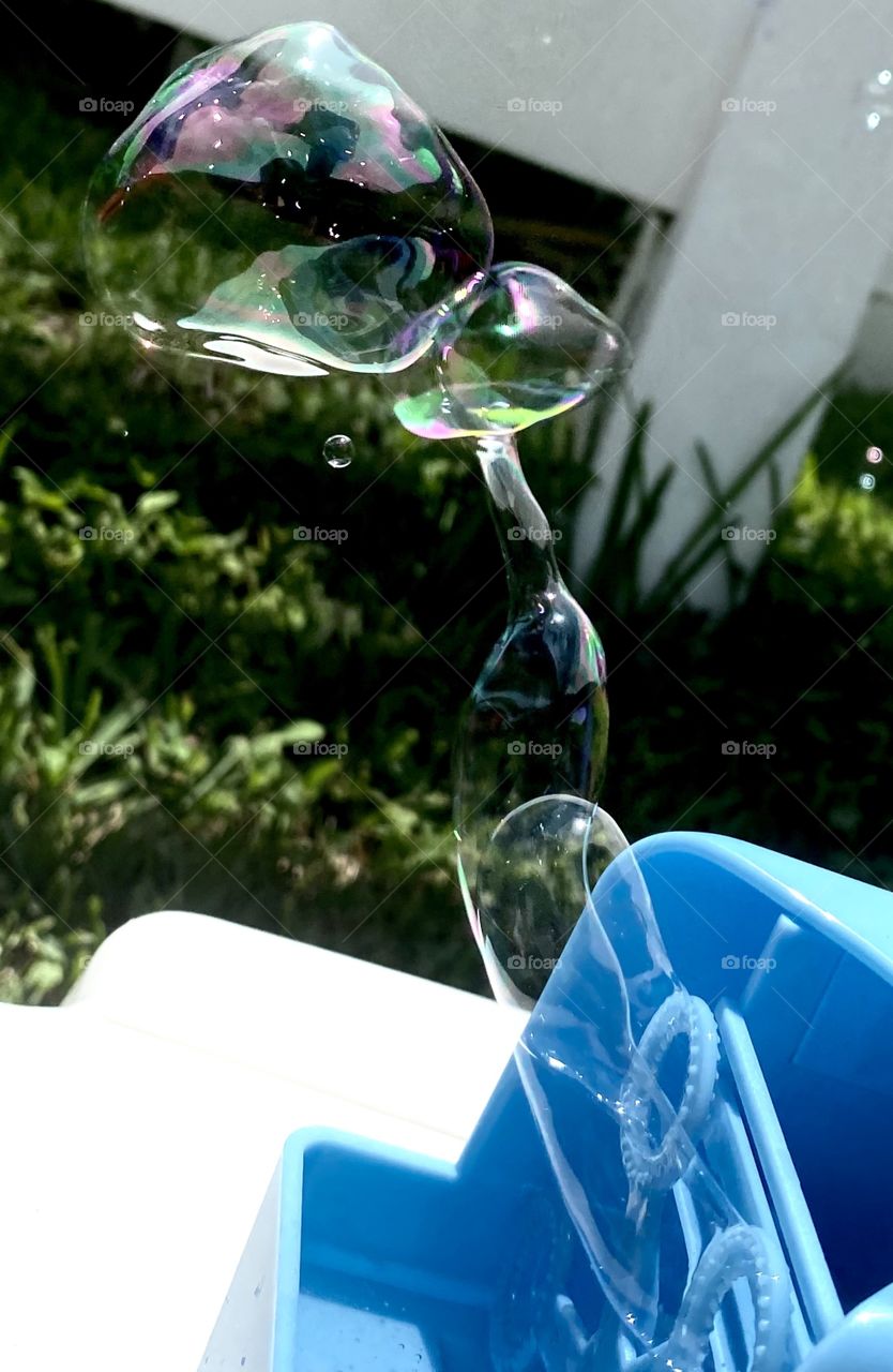 Summer bubbles 