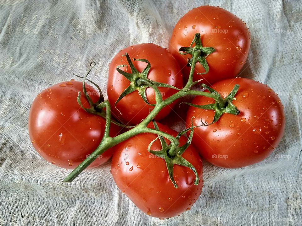 branch with tomato fruits