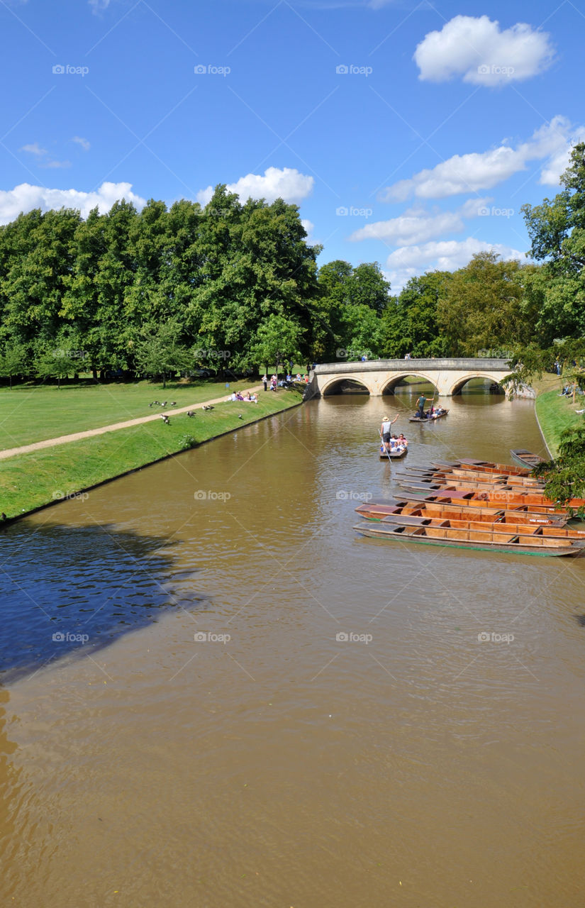 Punting view in Cambridge 