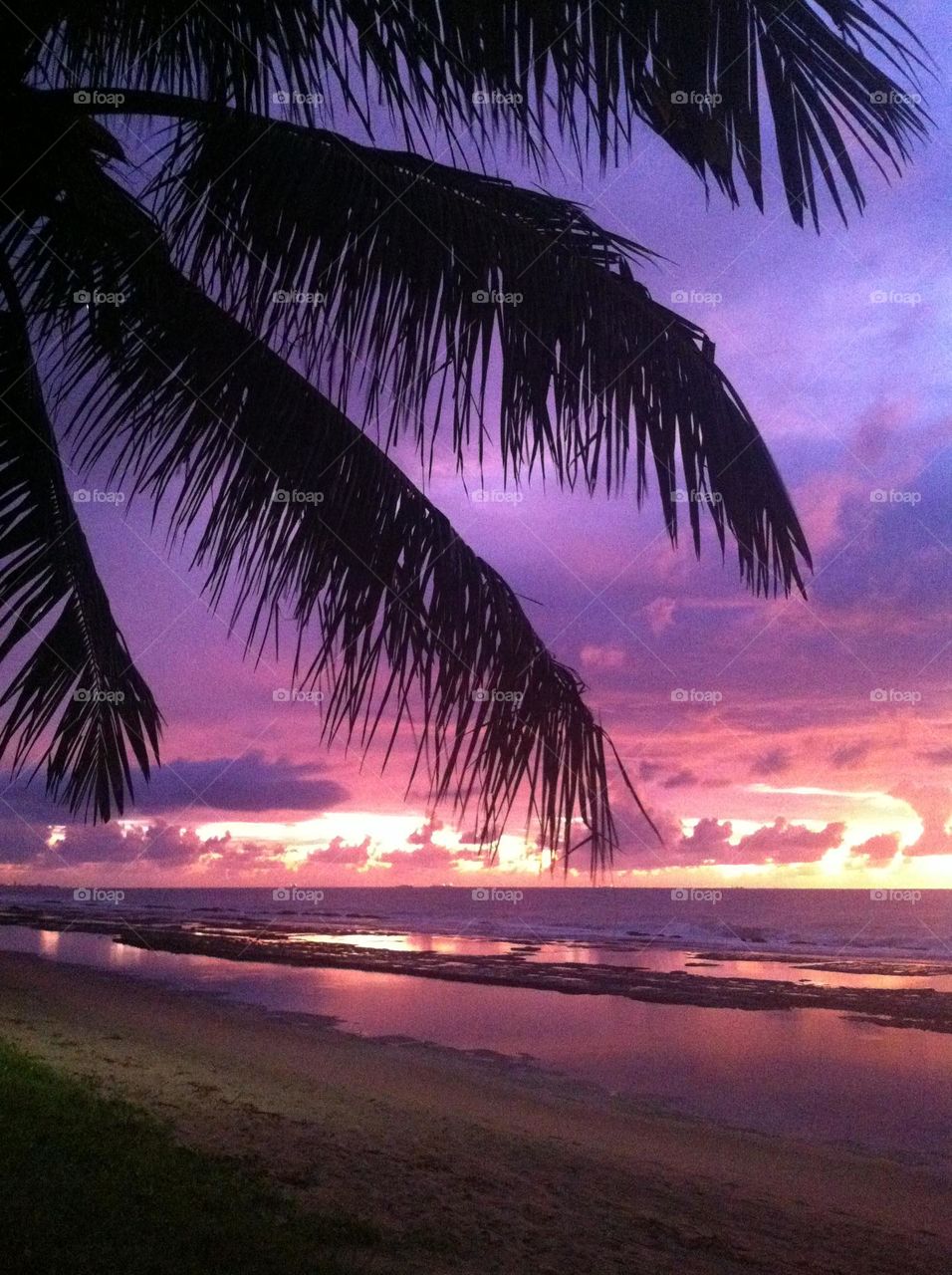 🌄🇺🇸 An extremely beautiful dawn in Porto de Galinhas, beach of Brazil. Cheer the nature! / 🇧🇷 Um amanhecer extremamente bonito em Porto de Galinhas, litoral do Brasil. Viva a natureza! 