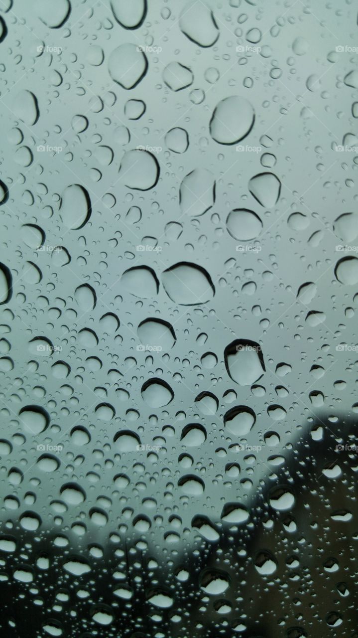 Raindrops on a window