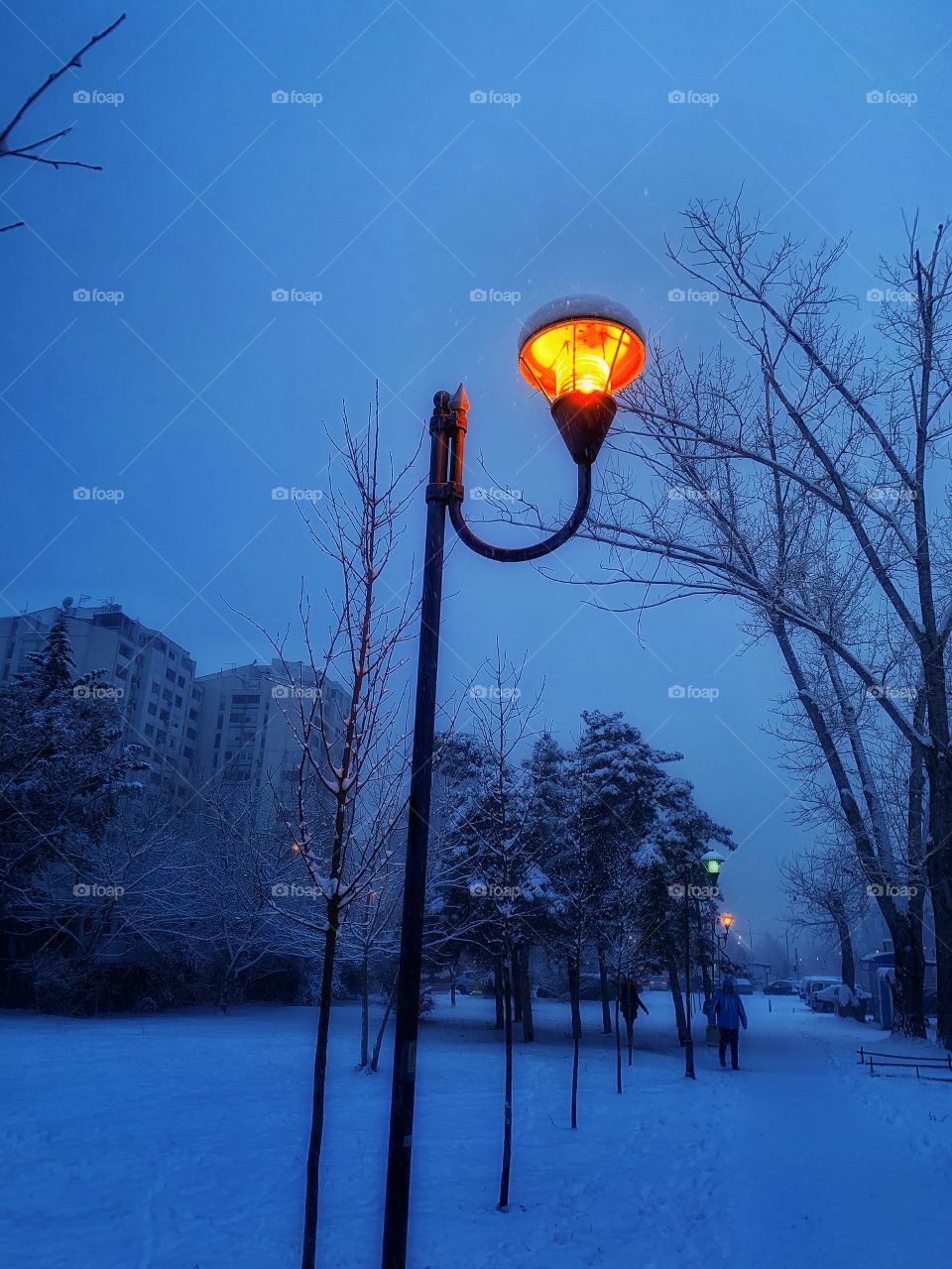 Early morning walk on a snowy day