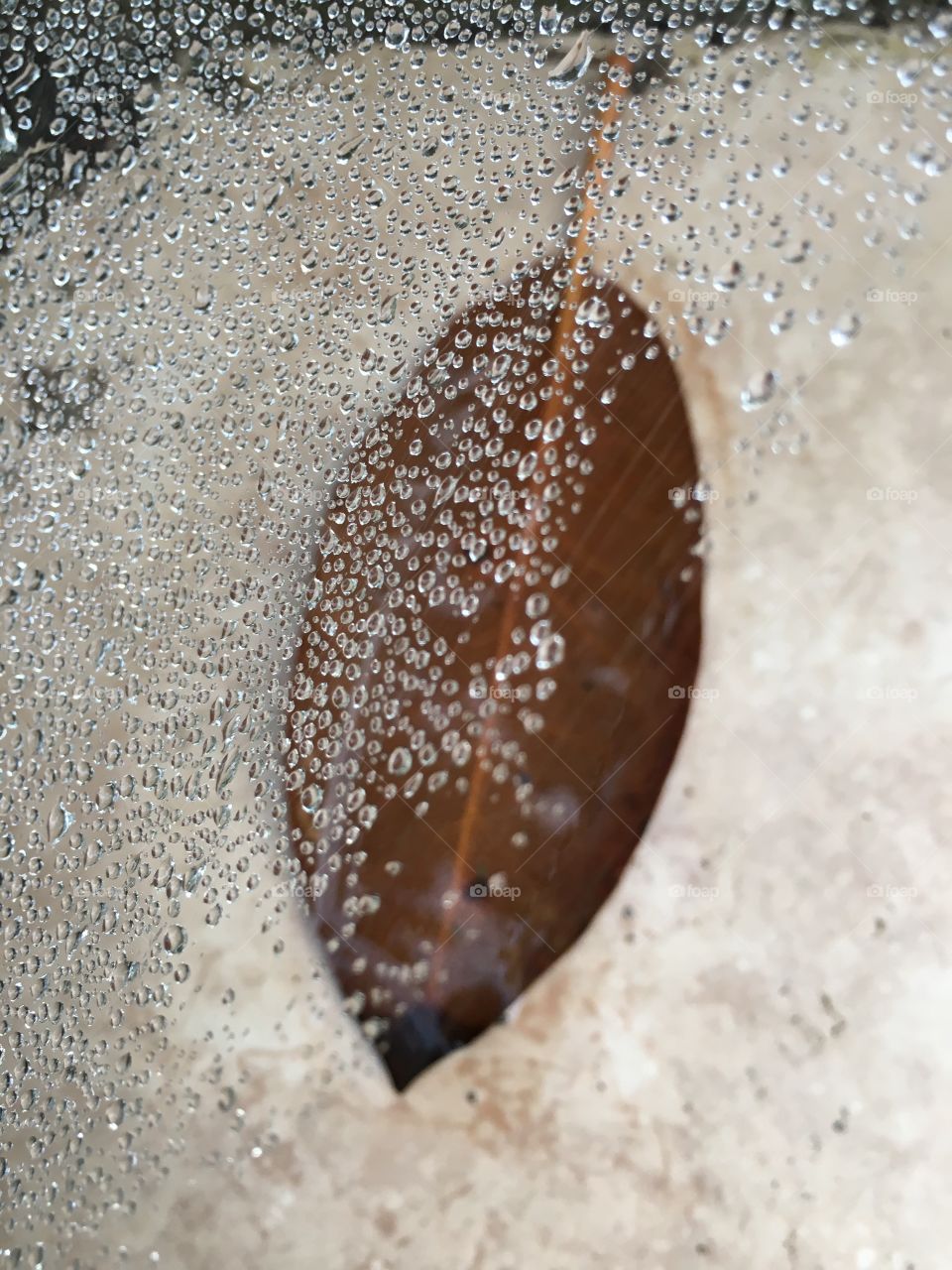 Rain drops on spiderweb 