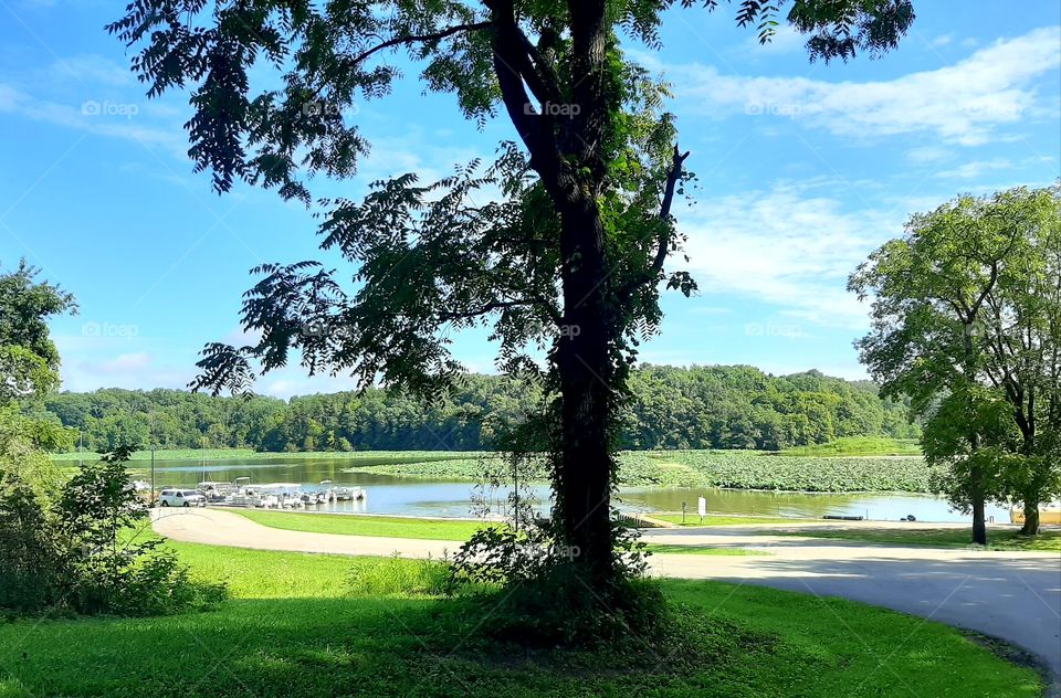 Lake Cowan in Summer