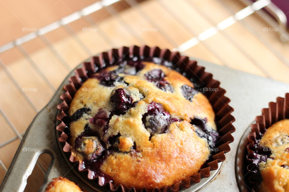Blueberry muffin. Single blueberry muffin in close-up on a cooling rack 