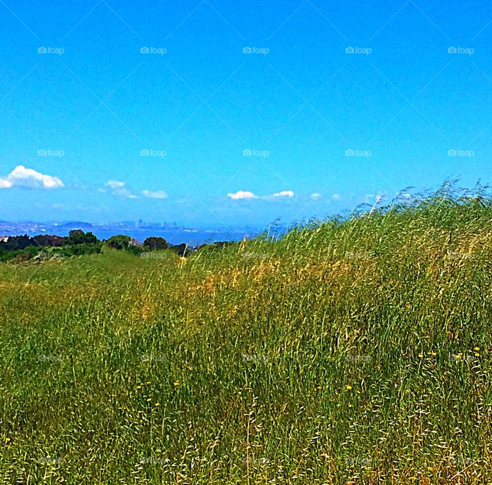 San Fran in the distance 