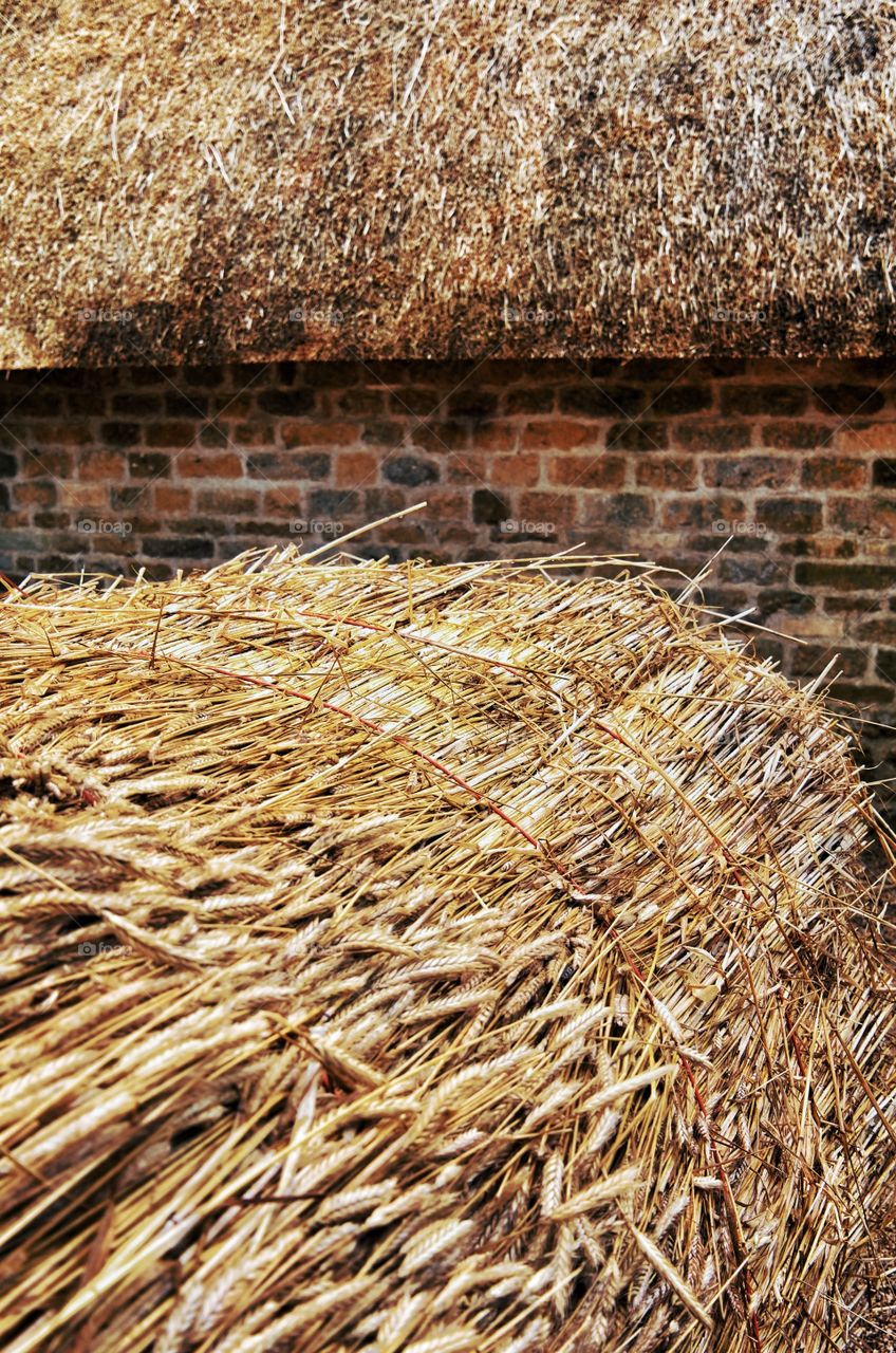 Thatch. Thatched barn 