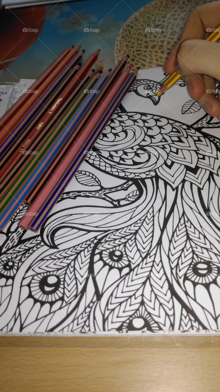 Draw in color pencil