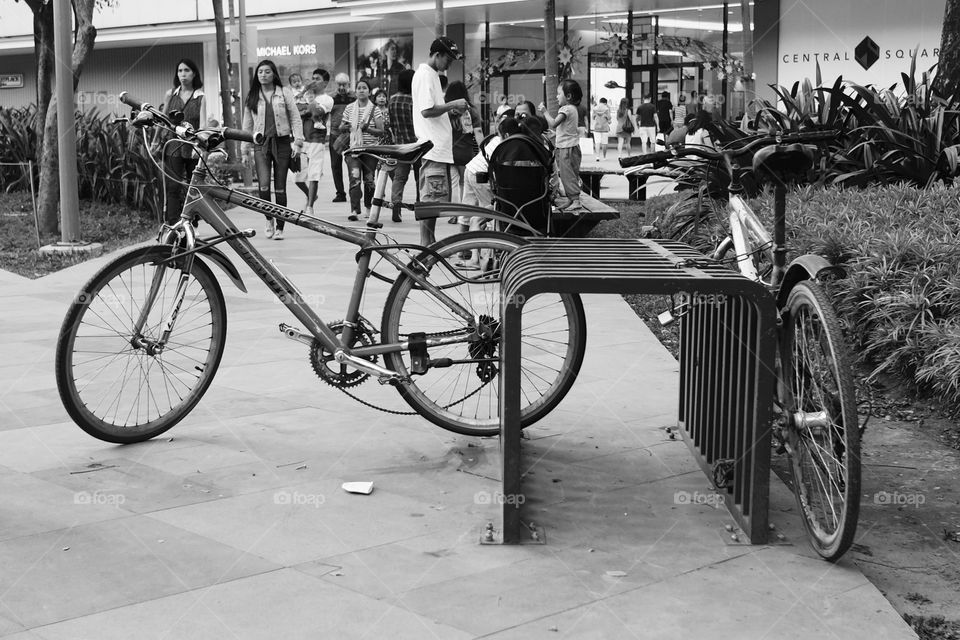 Bikes in the city 