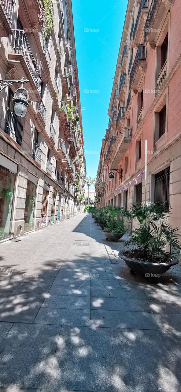 Street in Barcelona