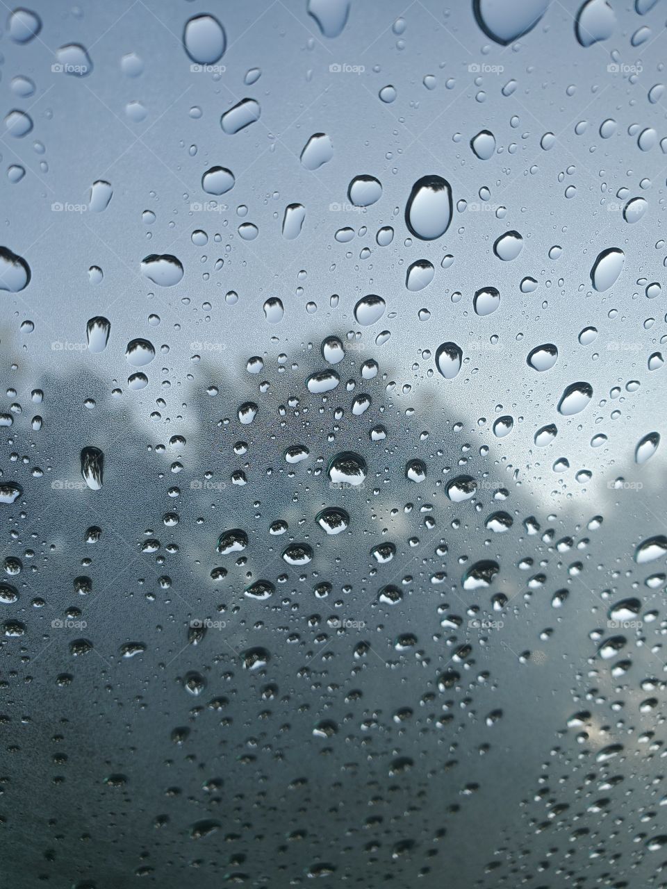 raindrops settle in morning sun after the storm