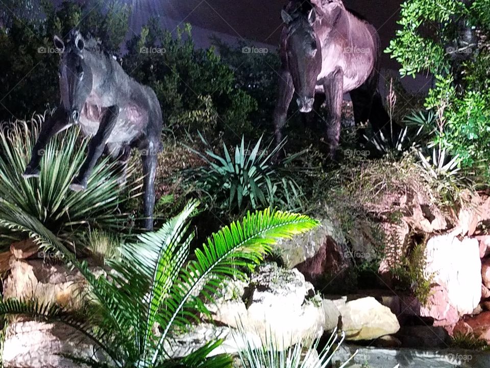 NRG Stadium in Houston
