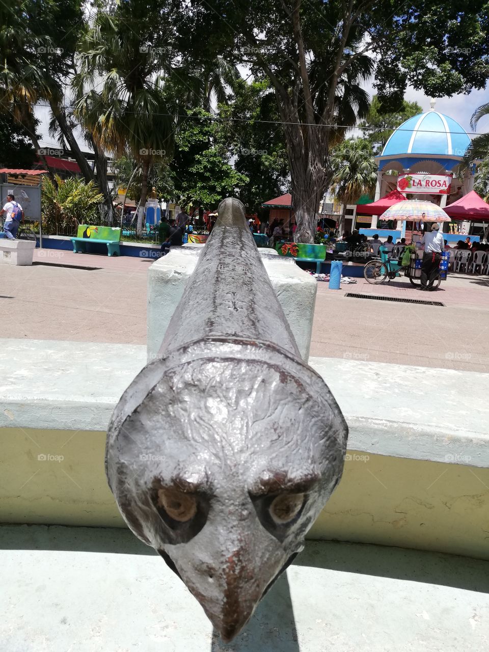 cara de aguila, parqur central Tela