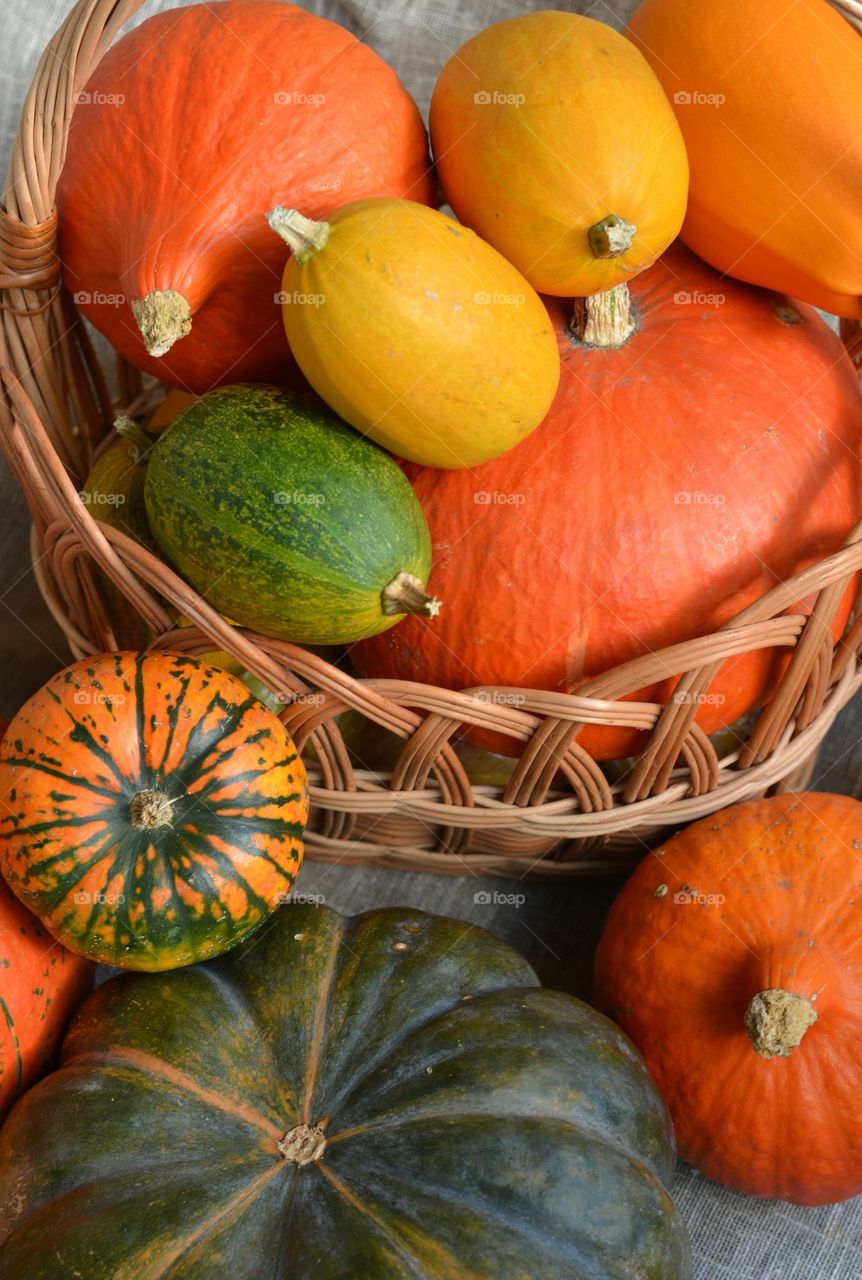 colour pumpkins happy Halloween 🎃