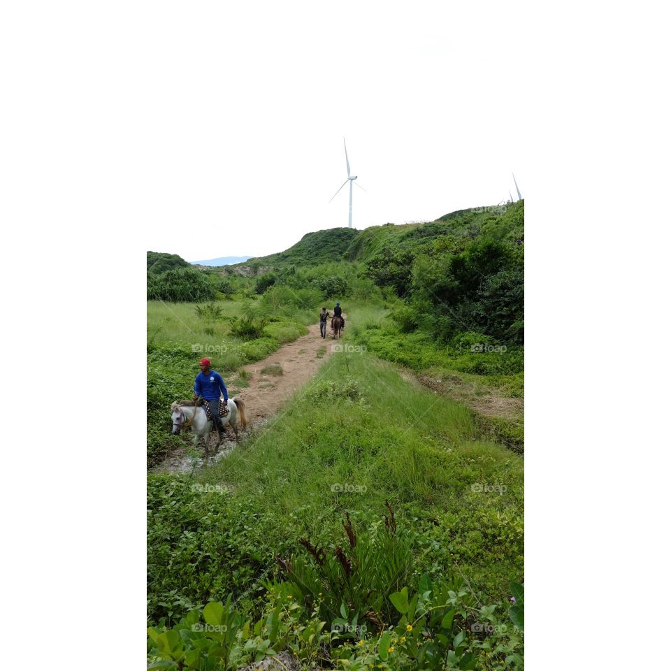 Ilocos windmills 2