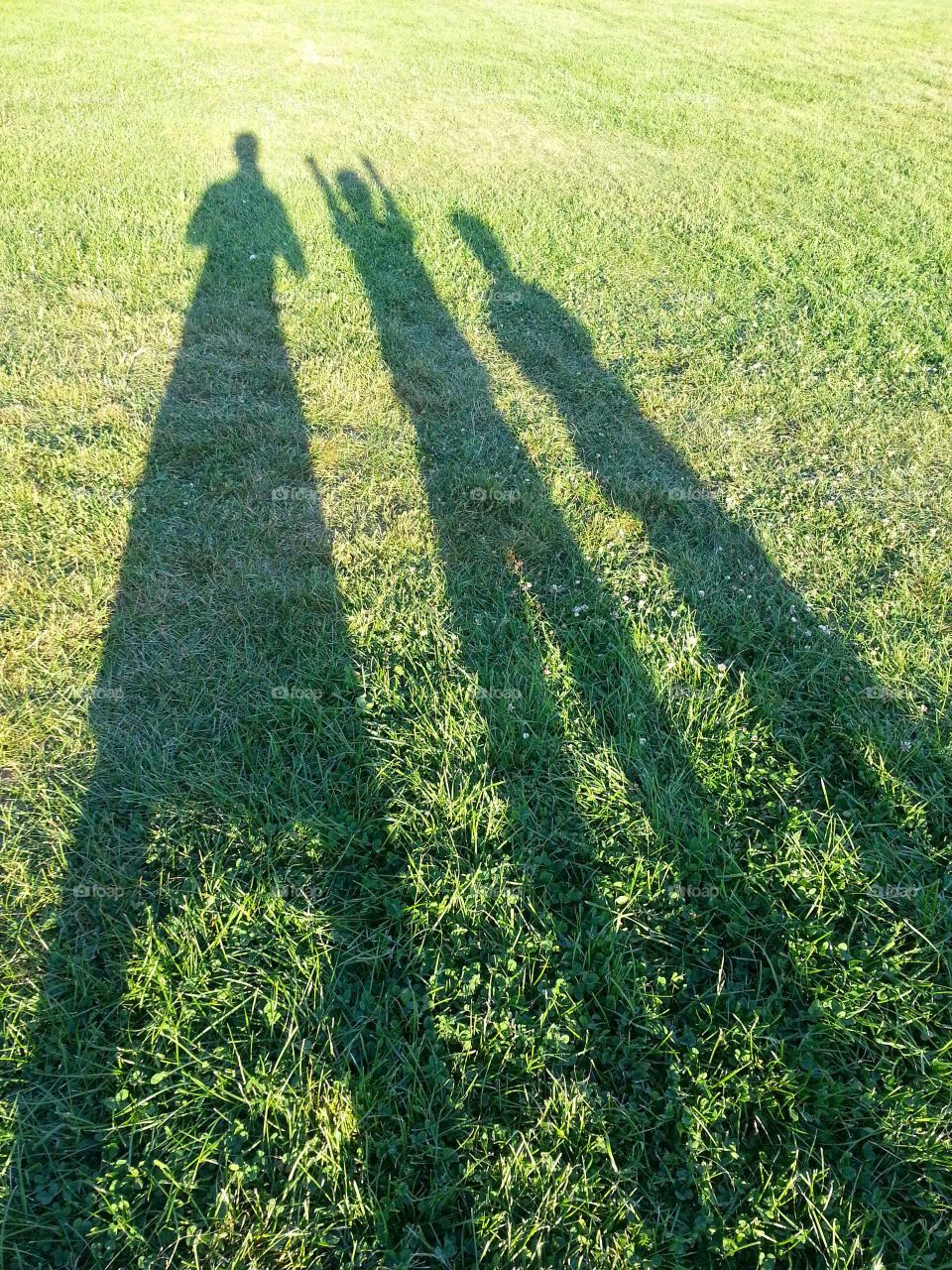 Shadows of 3 persons on turf in summer