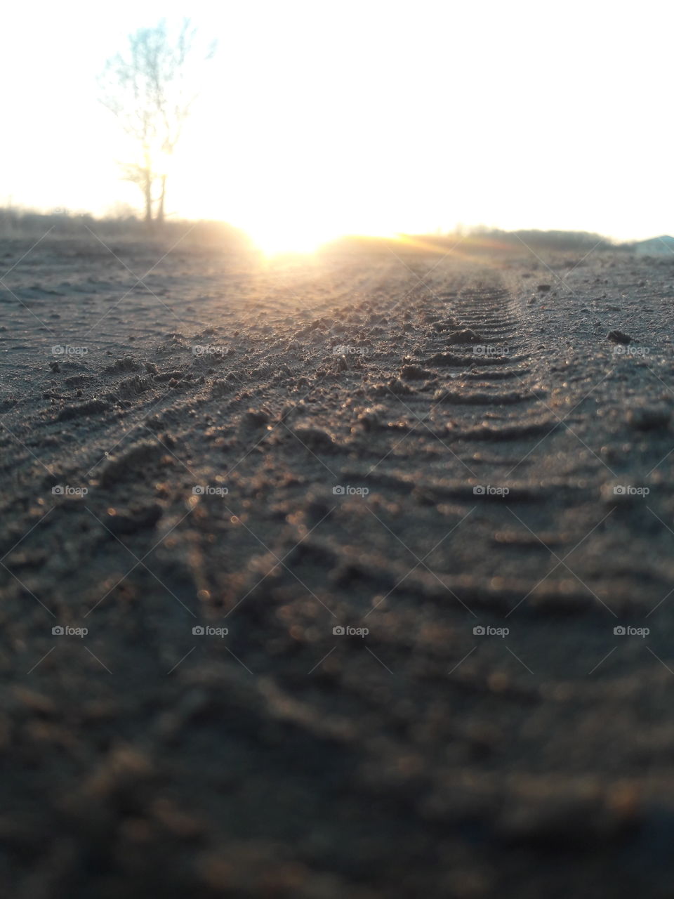 Sunset on a dirt road