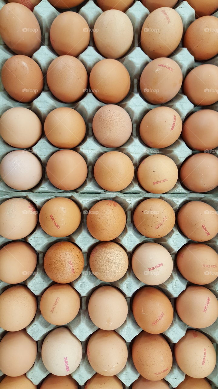 Fresh eggs