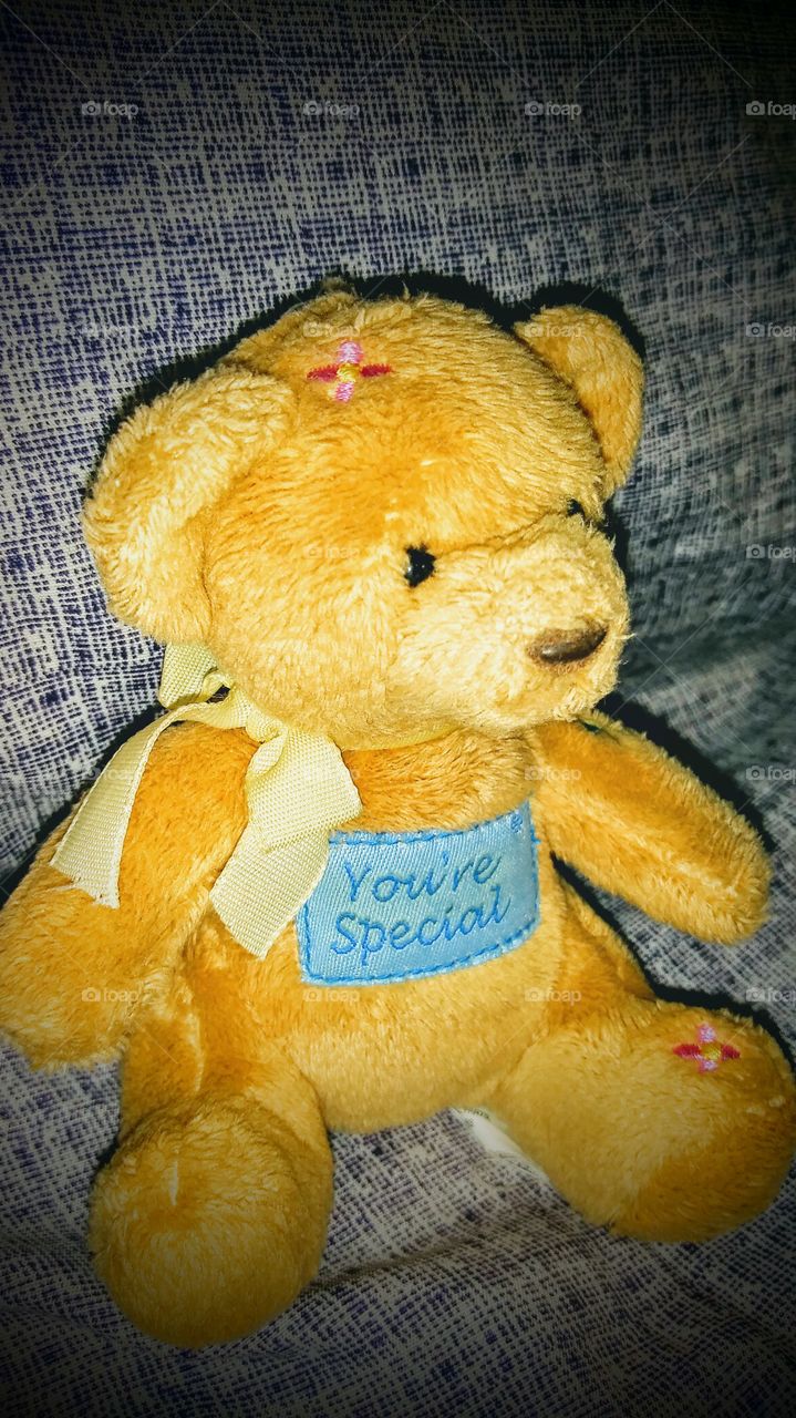 things with a meaning