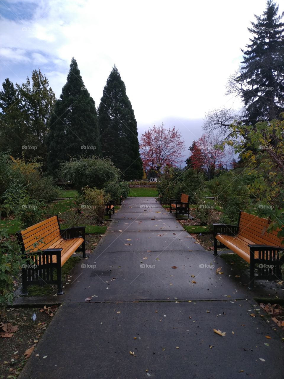 bench in park