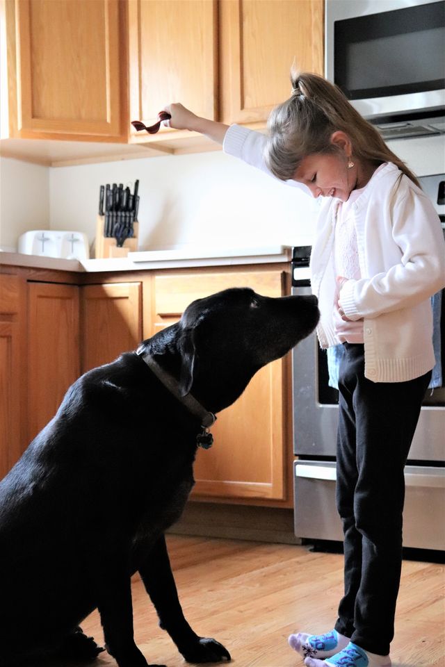 Friends Forever with Pedigree