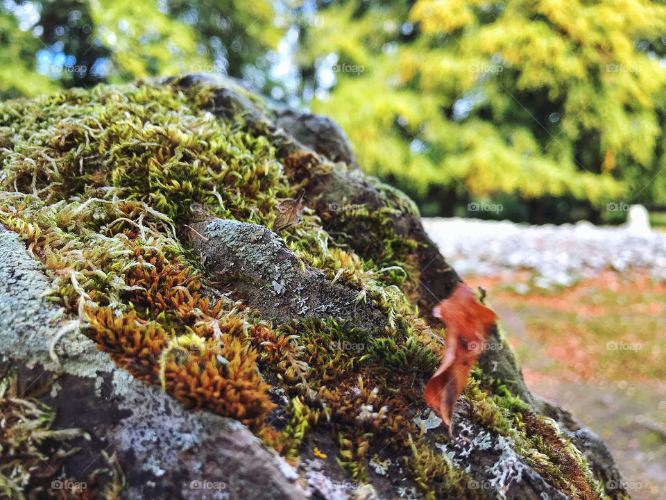 Clava Cairns