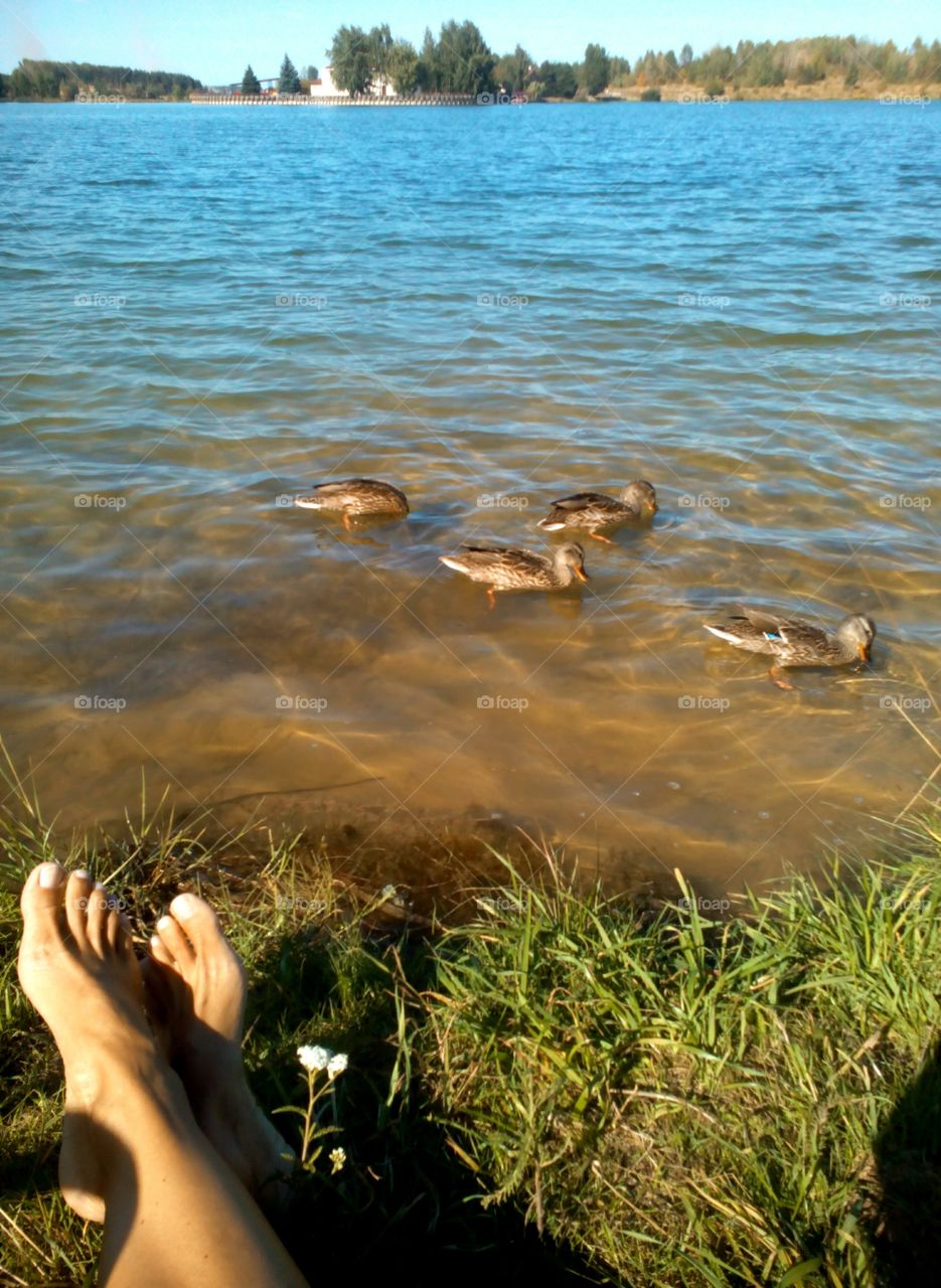 Water, Nature, Outdoors, Beach, Summer