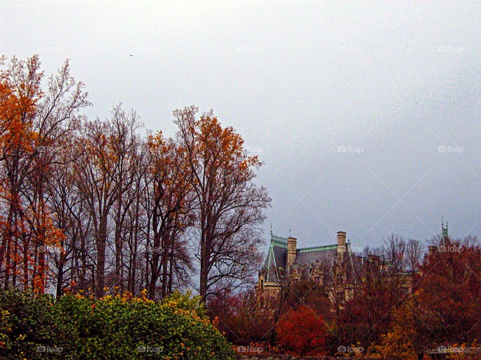 Vintage Estate on an overcast morning in Late Autumn!