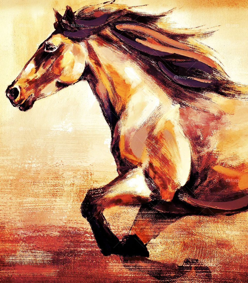 horse