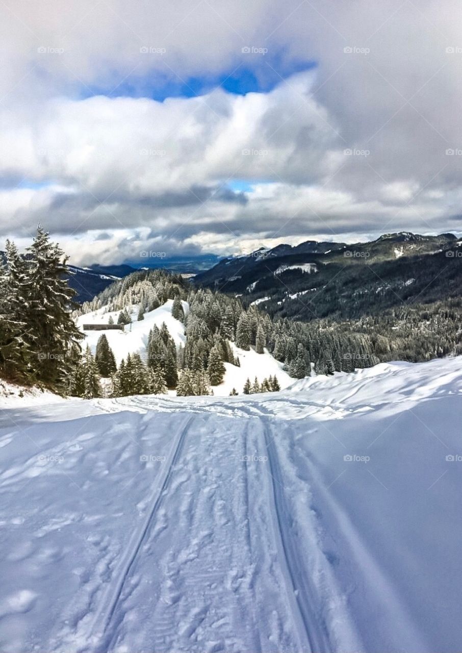 Winter landscape. view from the top of mountain. Forest and white snow 