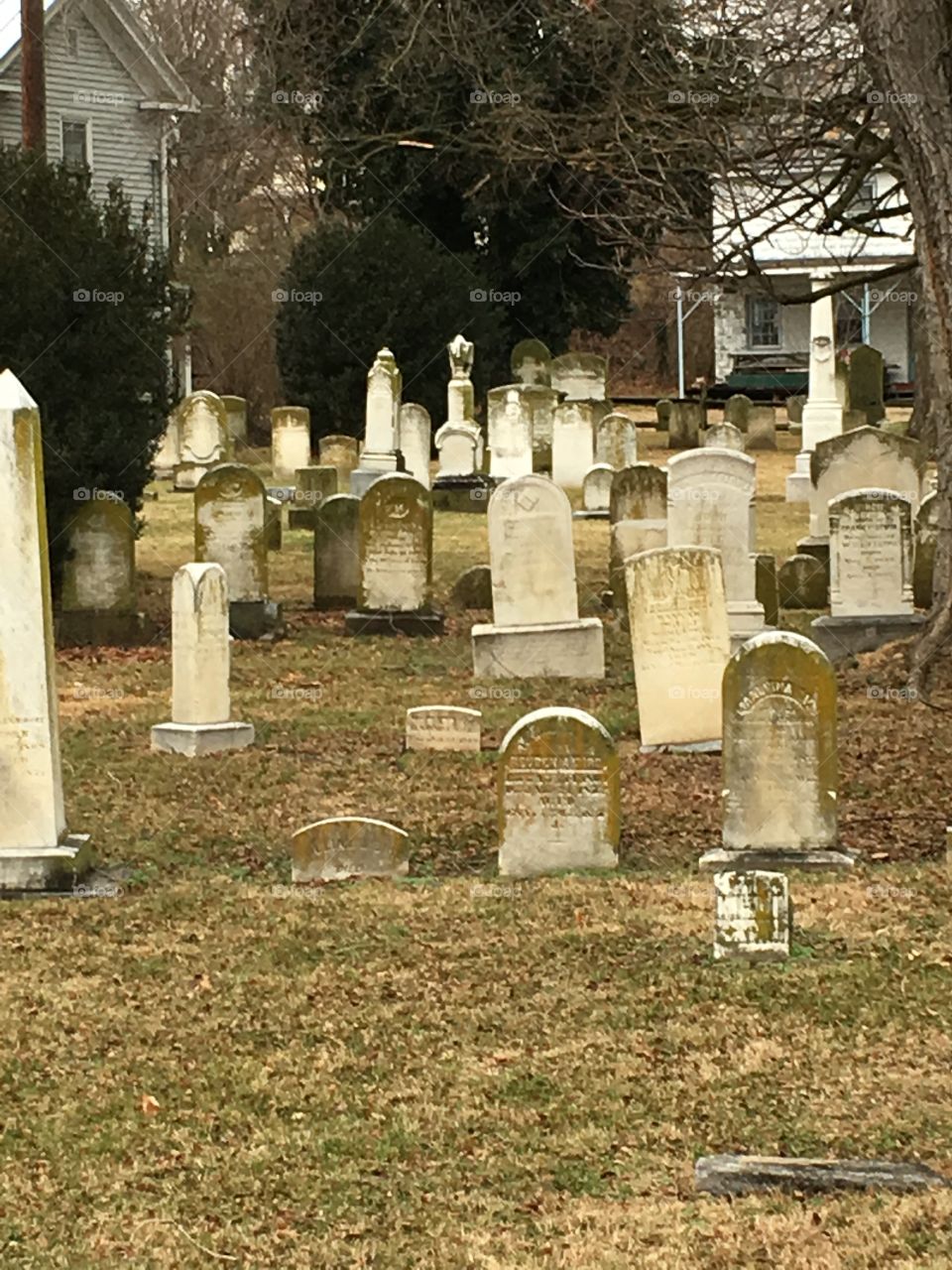 Old cemetery 