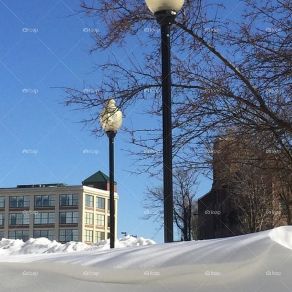 Winter in the northern hemisphere is an amazing natural phenomenon and beautiful to behold.  The snow-covered landscape changes and everything in it changes: the colors, the volumes, the sounds, a true invitation to new discoveries!