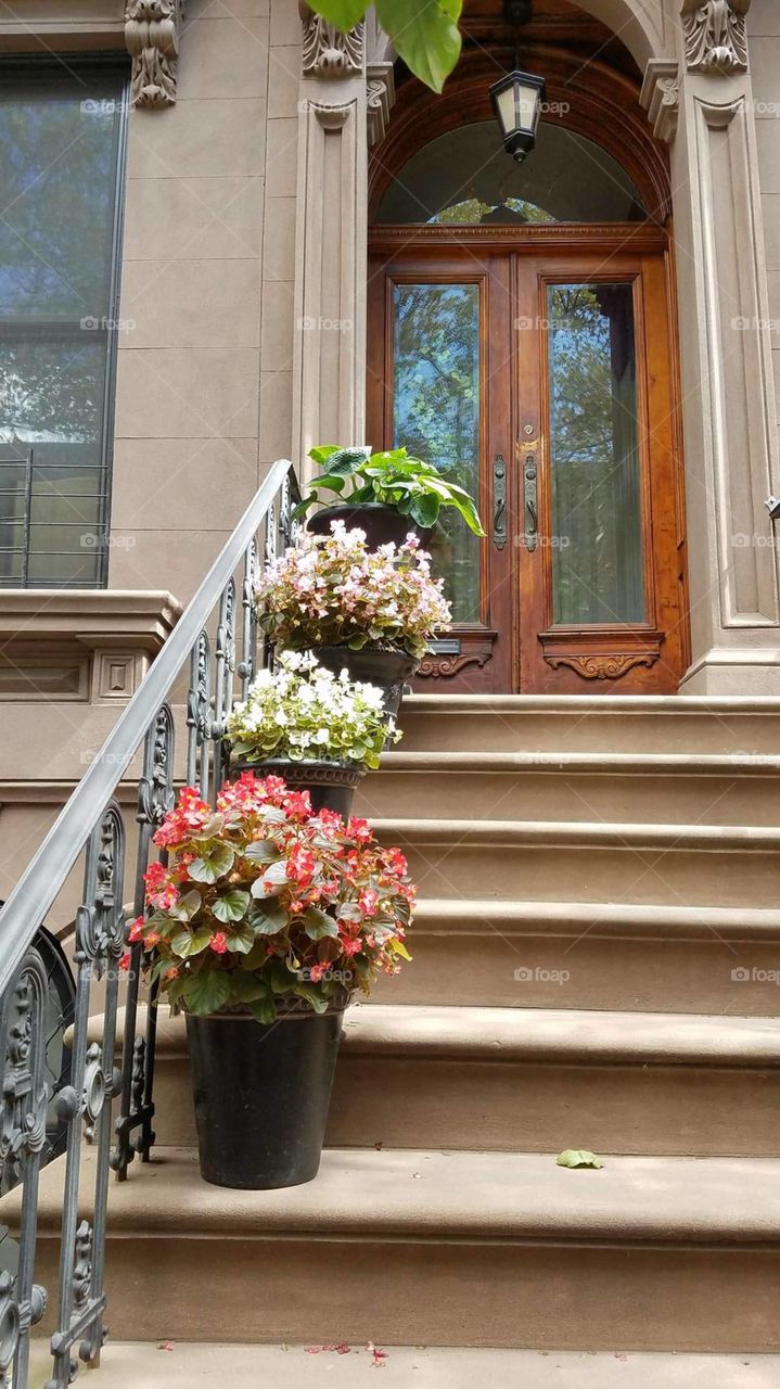 Stairs with flowers in Brooklyn New York City